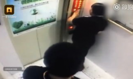 小便视频,一场关于生理现象的趣味探索